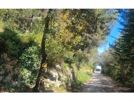 terrain falicon m² t- à vendre  630 000 €