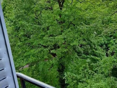 appartement ris orangis 2 minutes à pieds de la gare 89000 négociable