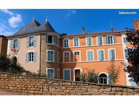 local professionnel plein centre bois d'oingt