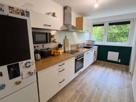 appartement t3 lumineux - centre ville luxeuil-les-bains