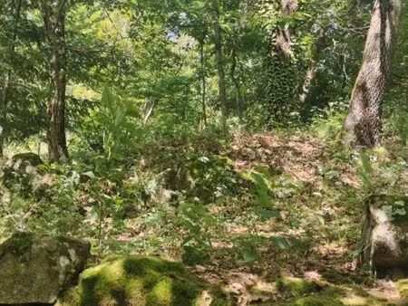 terrain constructible 995m2