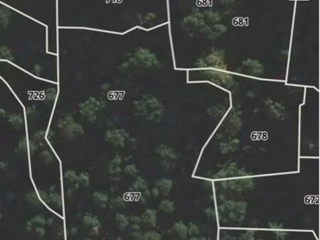 parcelle en forêt