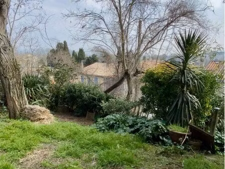 maison de ville avec terrasse et jardin