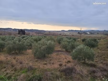 ? rare – oliveraie avec vue dominante à 20 min de narbonne – 5 884 m² ?