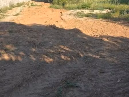 terrain a vendre
