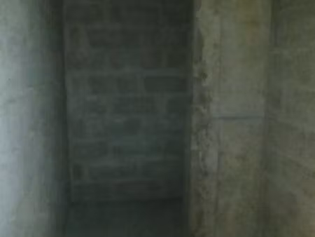 cave à louer