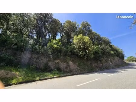 terrain 2 032 m² sartene