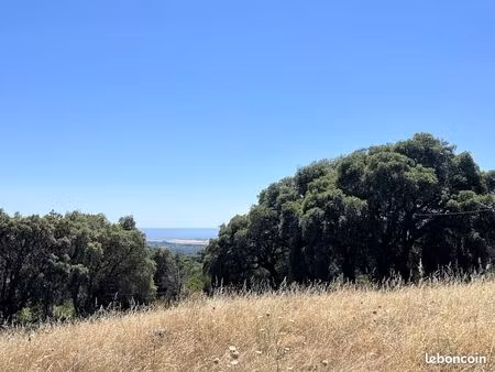 terrain 8630 m² bastelicaccia