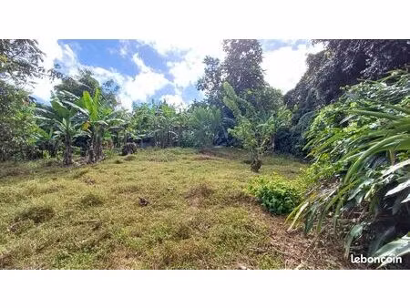 terrain 1000 m² le lamentin