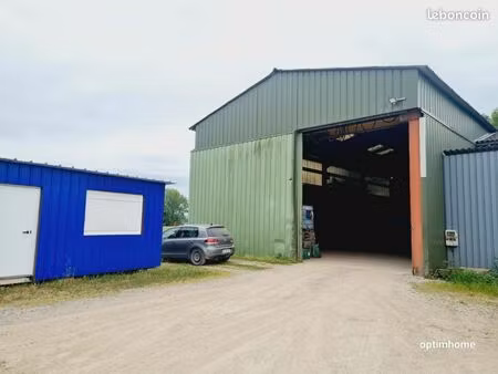 local 325 m²