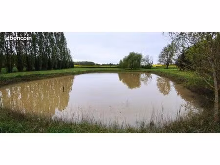 terrain 13150 m² genouilly