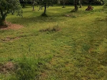 terrain viabilisé