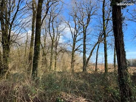 à vendre – 61 parcelles de bois  taillis et forêts - charente-maritime (17)