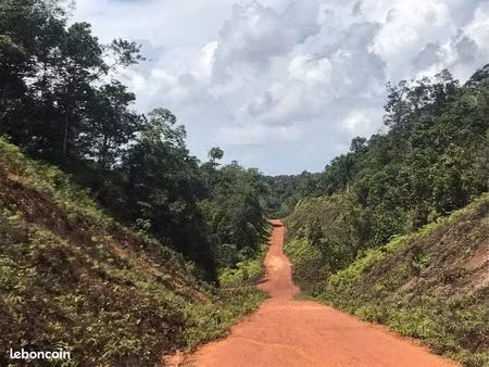 terrain naturel 1 1 ha  domaine boulanger  roura  guyane