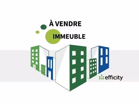 immeuble 8 pièces - 163 m²