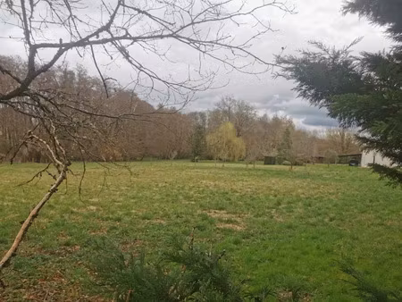 vente terrain 974 m² à lignan-de-bazas (33430)  46 000 €