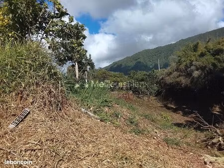 terrain 498 m² saint louis