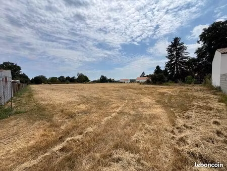 terrain 5974 m² constructible