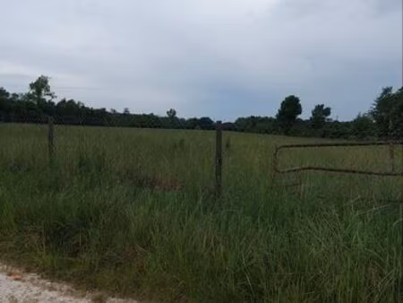 terrain agricole