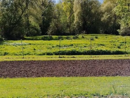 terrain non constructible