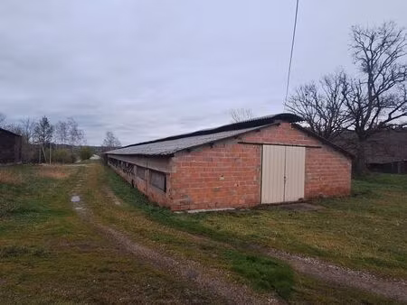 hangar 1000m2
