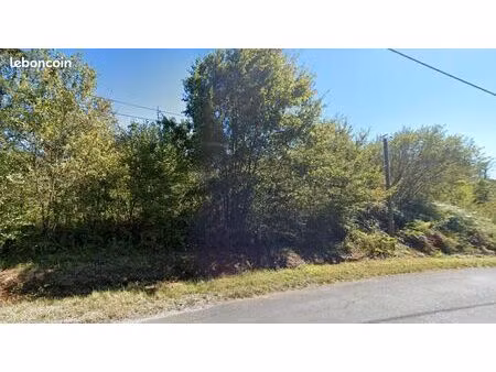 parcelle bois forêt 8000m2 dordogne