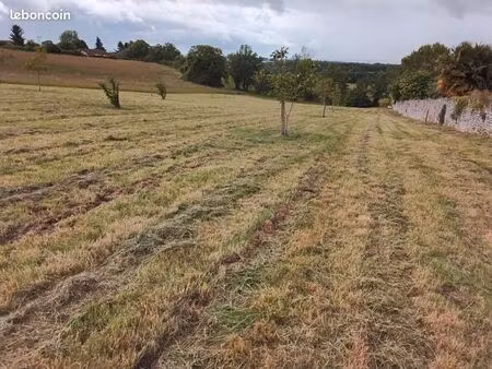 terrain constructible
