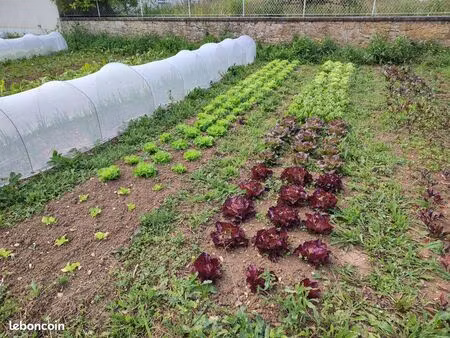 terrain agricole (maraichage et fruitiers )