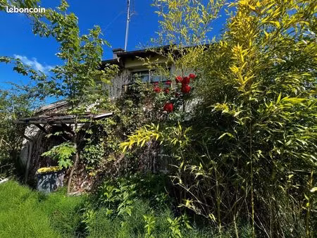 maison 2 pièces 50 m²