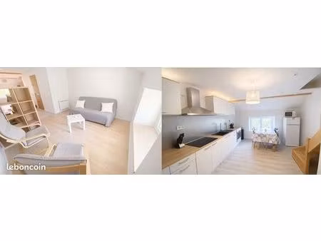 bel appartement duplex meublé - 70 m²
