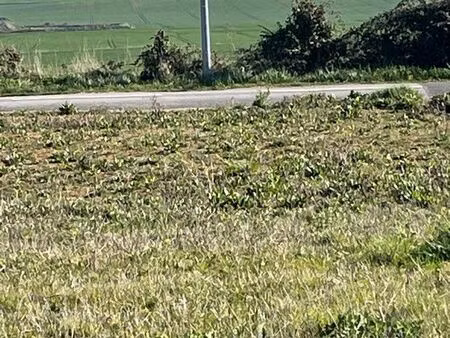av 2 grands terrains viabilisés