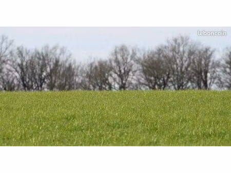 cherche terrain agricole