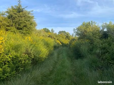 terrain agricole ou de loisirs