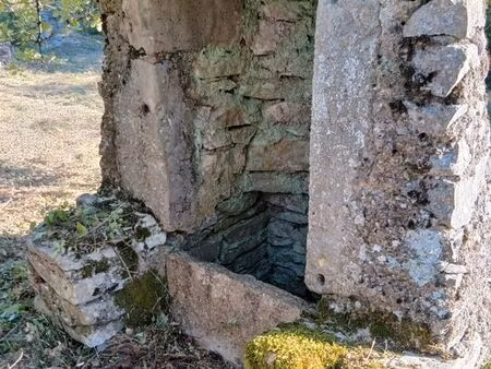 terrain agricole