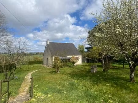 vente maison phénix