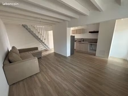 appartement hypercentre 60m2