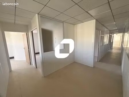 bureau 278 m²