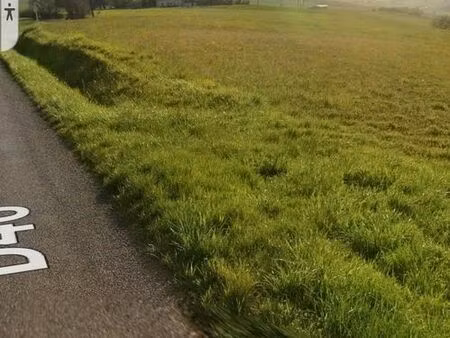 terrain agricole