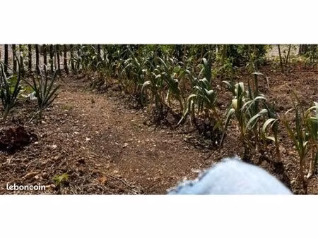 recherche terrain agricole