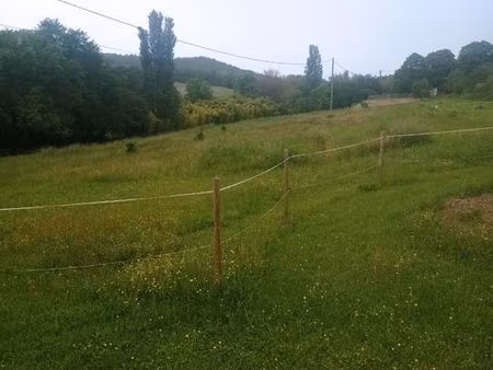 terrain