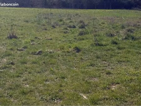 terrain agricole
