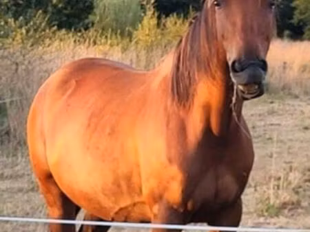 recherche terrain agricole secteur 35460