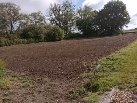parcelle de terrain