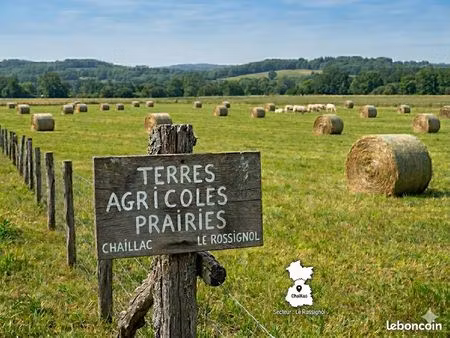 terres agricoles prairies