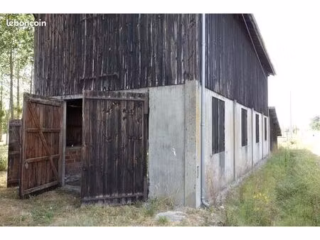 séchoir et terrain agricole