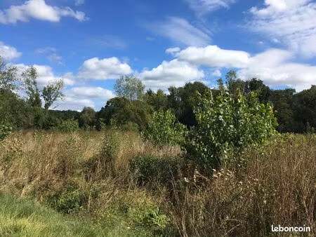 un coin de nature au bord de la veude – ligre (37500)