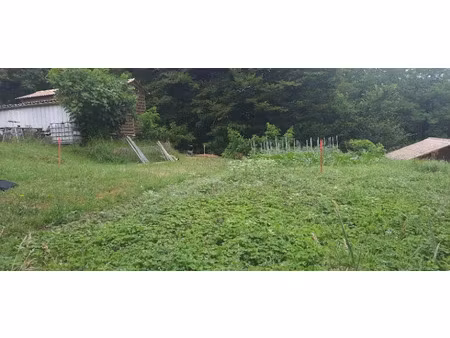 vente terrain 650 m² à haux (33550)  70 000 €