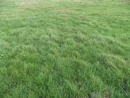 vente terrain 434 m² à vernou-la-celle-sur-seine (77670)  73 000 €