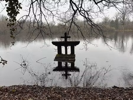 bois de 220 hectares hors habitation