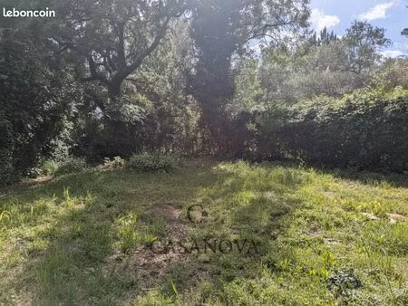 terrain 643 m² saint vincent de barbeyrargues